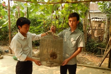 National Park Phong Nha - Ke Bang: Loris receiving small rescue